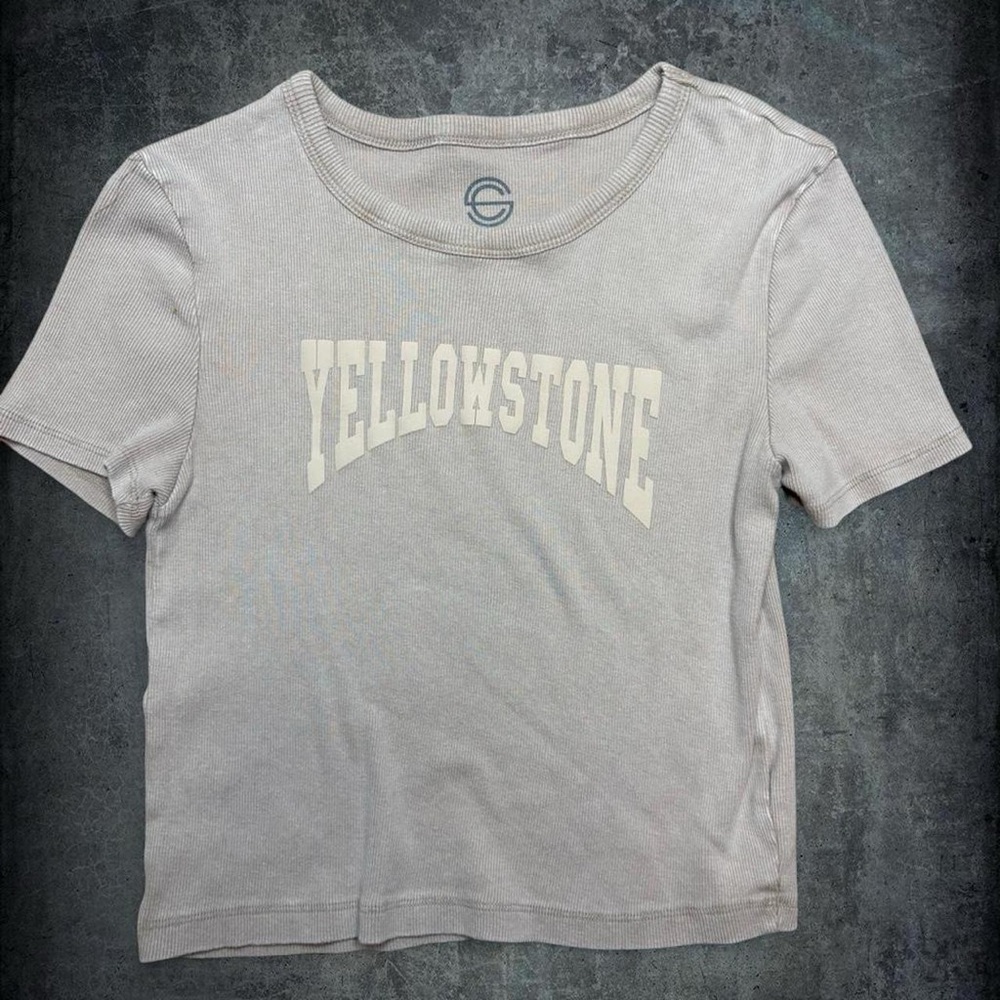 Yellowstone Graphic Tee in Light Gray